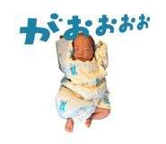 595762026