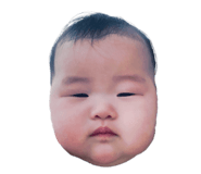 595763149