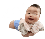 595763164
