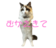 595804245