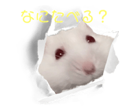 595804250