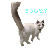 595804253