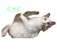 595804255