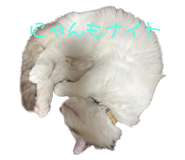 595804256