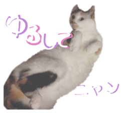595866880