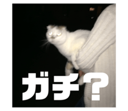 595897032