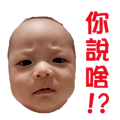 595916523