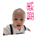 595916526