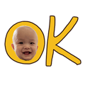 595916530