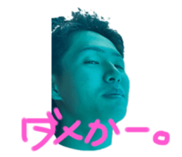 595933080