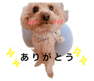 595937424