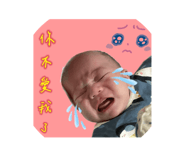 595942038