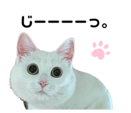 595953246