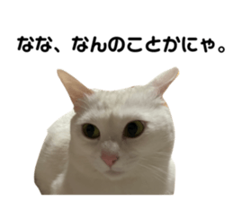 595953253