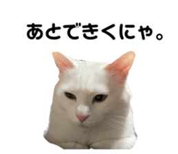 595953256
