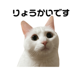 595953260