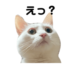 595953261