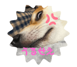 595957422