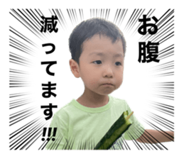 596005287