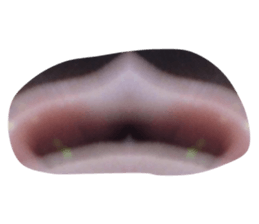 596076099