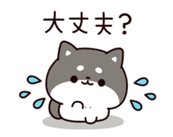 59607703