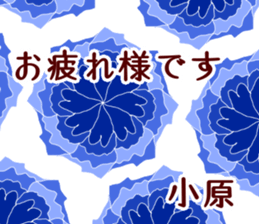 59611036
