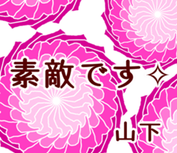 59611077