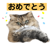 596126928