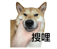 596134462