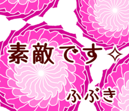 59620637