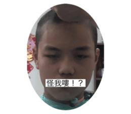 596220804