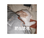 596229628