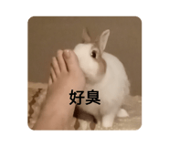 596229631