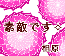 59624101
