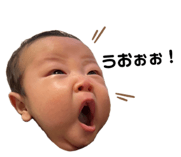 596268335