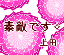 59627361