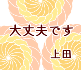 59627381
