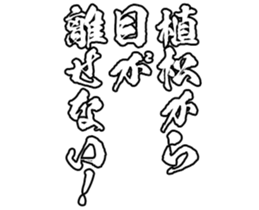 596286987