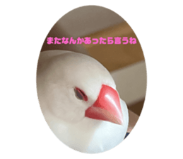 596295535