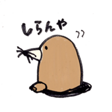 5963655