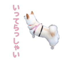 596366327