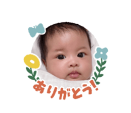 596373786
