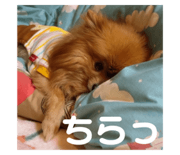 596427717