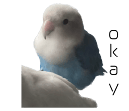 596467874