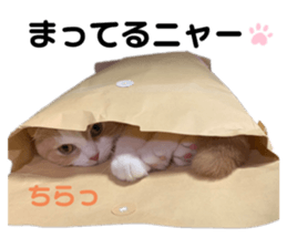 596523012