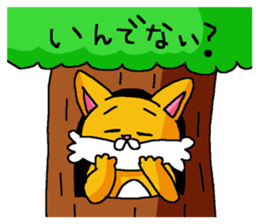 5965504