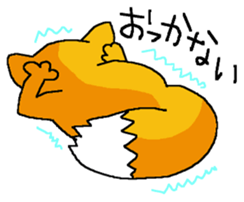 5965507