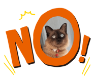 596557006