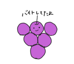 596584260