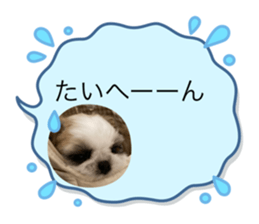 596584795